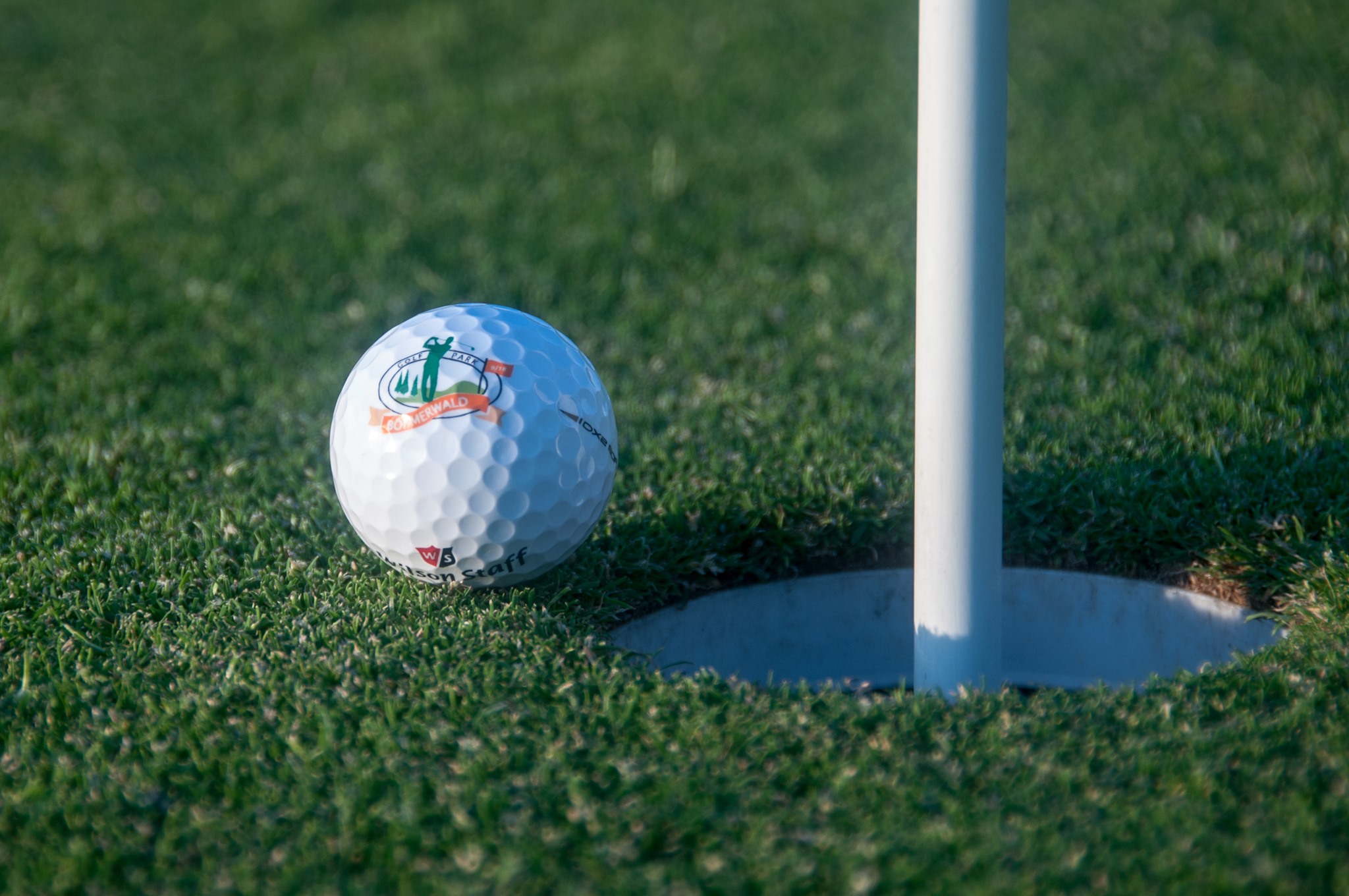 176530356_5736793952997695_1323681251547593040_n