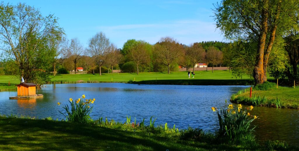 465789353_8975772022444777_89127401675648486_n