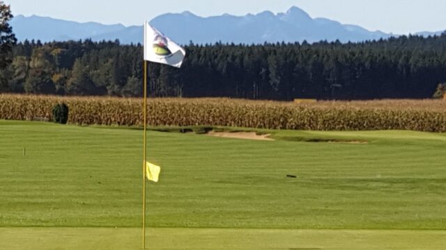 476858826_1164285012074580_6091388202790020262_n