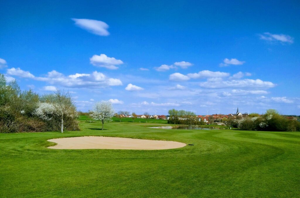 481310399_1047160004124965_7116774888817114193_n