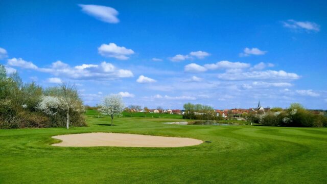 481310399_1047160004124965_7116774888817114193_n