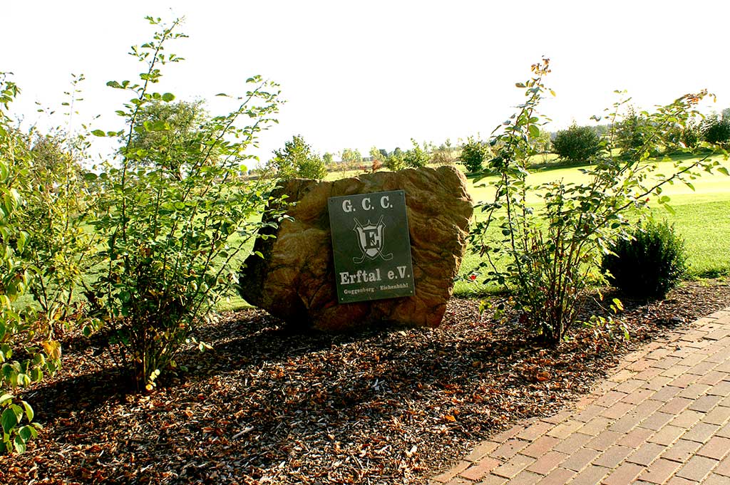 555074753_24929647693318785_3574629659144461590_n