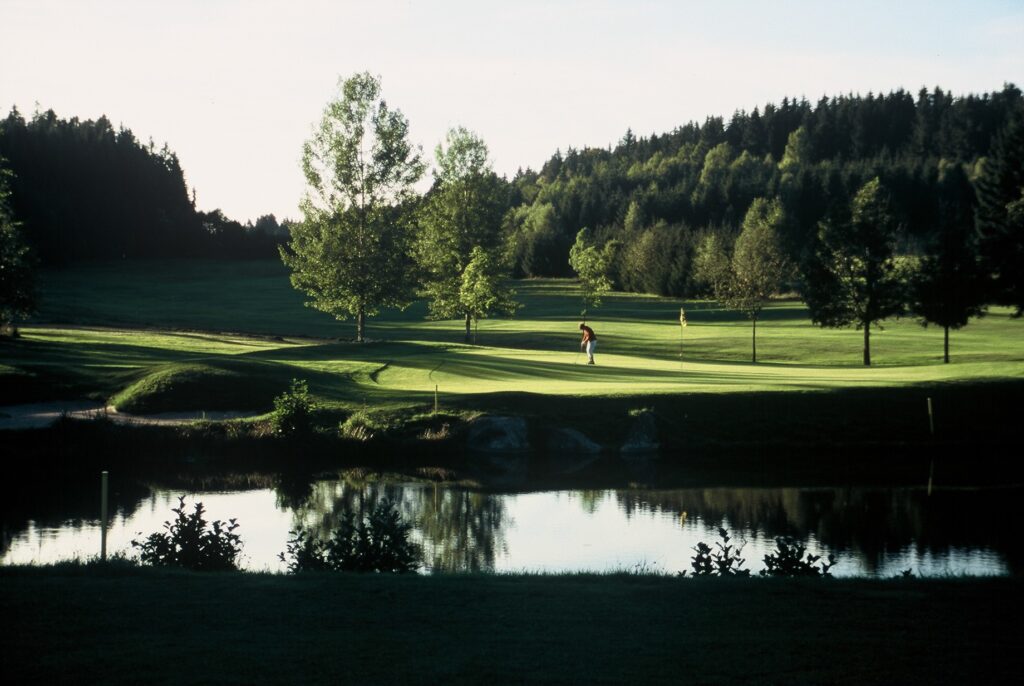 555914815_32114292231487841_709063709229772186_n