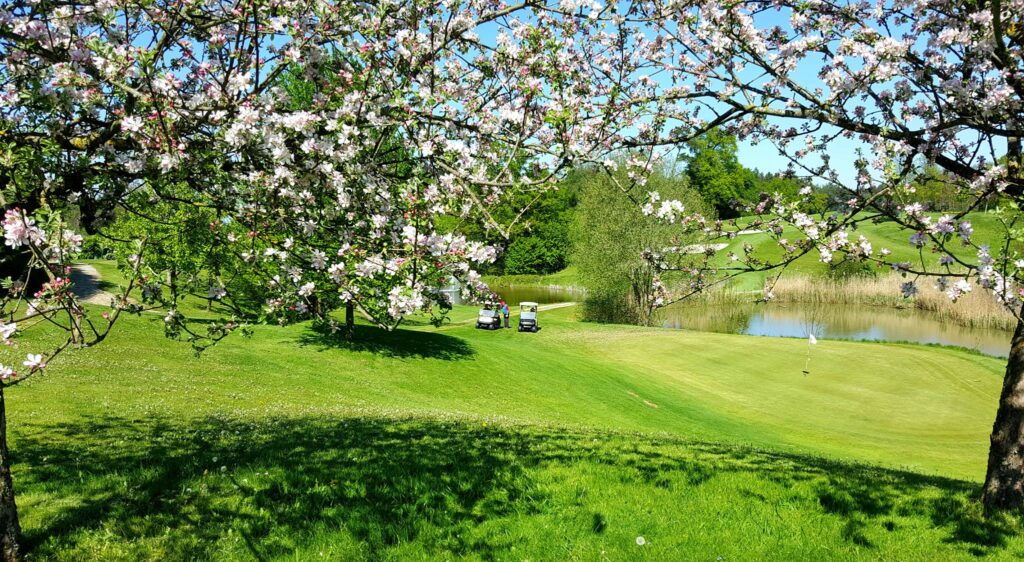 561558939_25250102104585177_492783576394187624_n