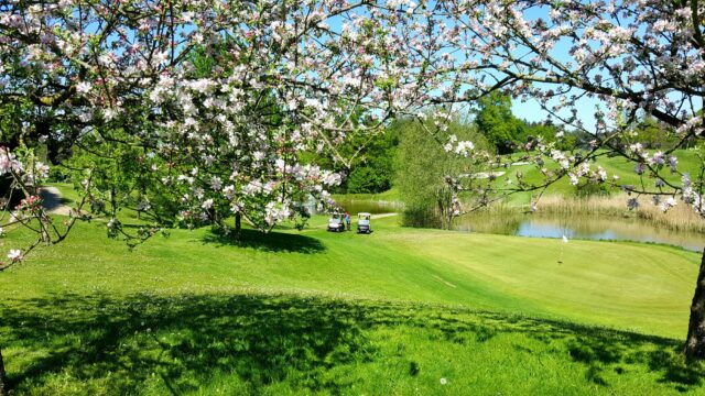 561558939_25250102104585177_492783576394187624_n