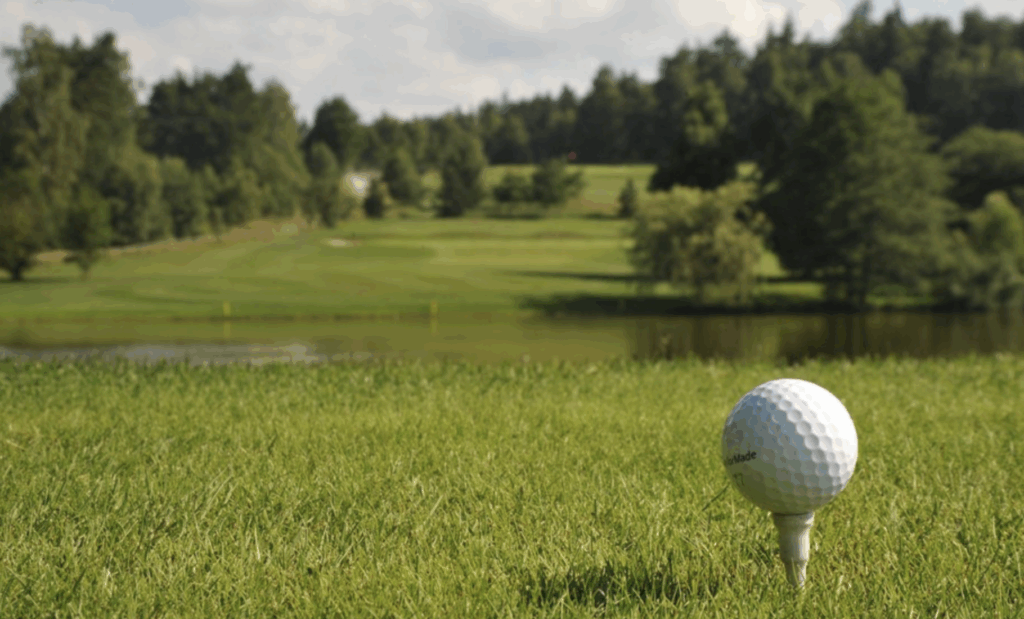 Bildschirmfoto 2025-11-11 um 23.22.53