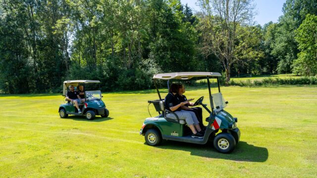 DxO_DeepPRIMEXD_01230Go1-NEF_DxO_DeepPRIMEXD-scaled