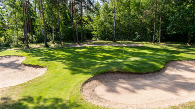 GC-Hauptmoorswald-052025_137-1024×683