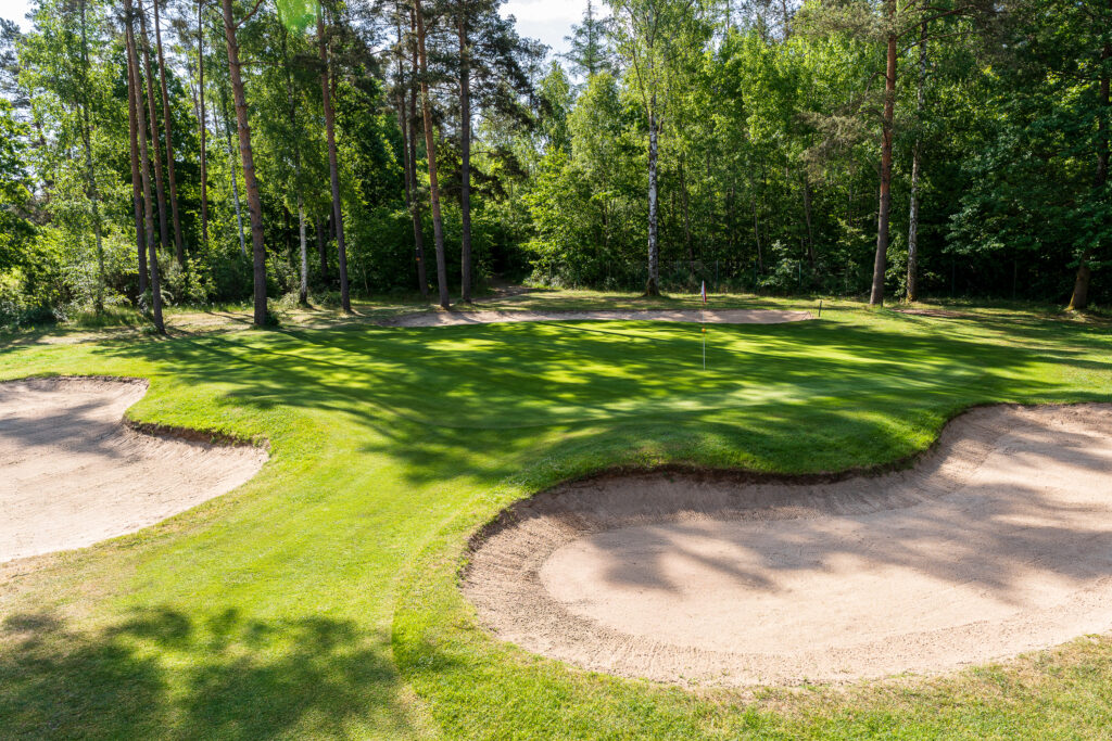 GC-Hauptmoorswald-052025_137-1024×683