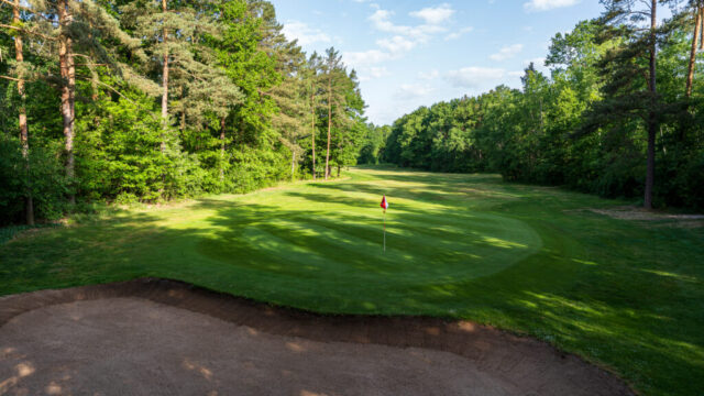 GC-Hauptmoorswald-052025_99-1024×683