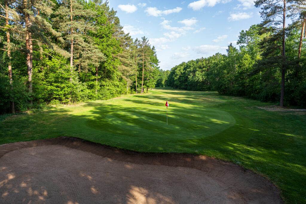 GC-Hauptmoorswald-052025_99-1024×683