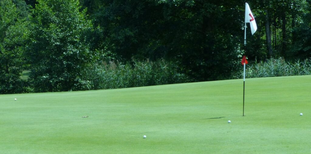 P1090966-001_Ausschnitt-scaled