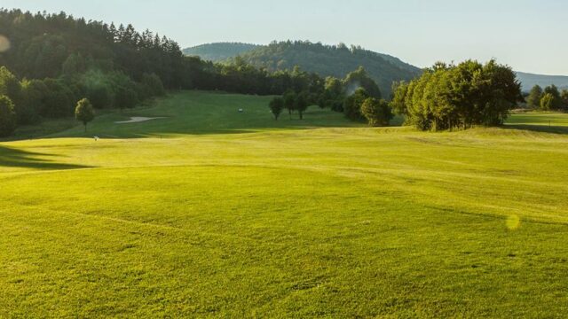 cr-07-f3949147e1e7822gb6e5336c3d649a0a