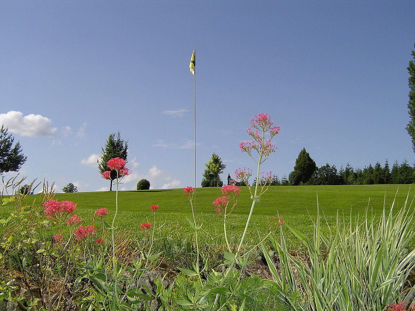 csm_DSC04618_7050521333