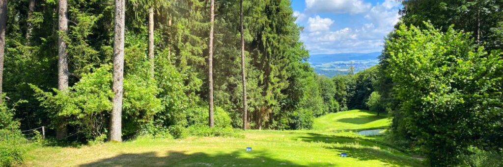 image00003.1-8a87565ca0f0d41g0b51f2c487e0081b