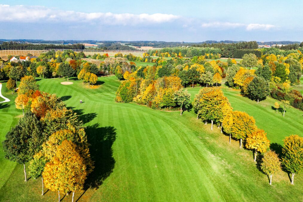 teaser_imagevideo-3ec6f26e